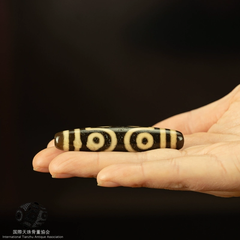 チベット▪大判七目天珠トーテム老天珠